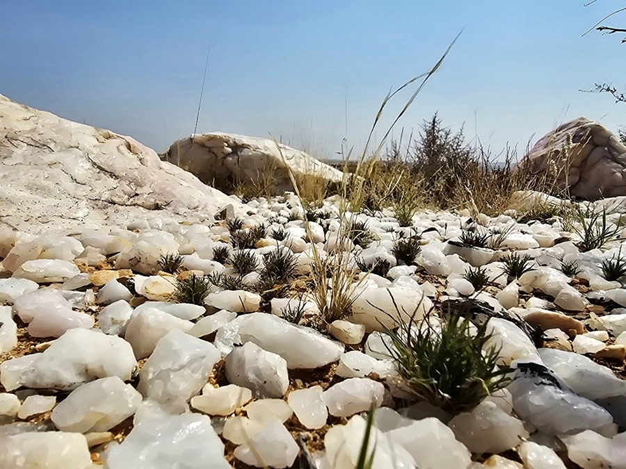 Commercial Property for Sale in Kenhardt Northern Cape